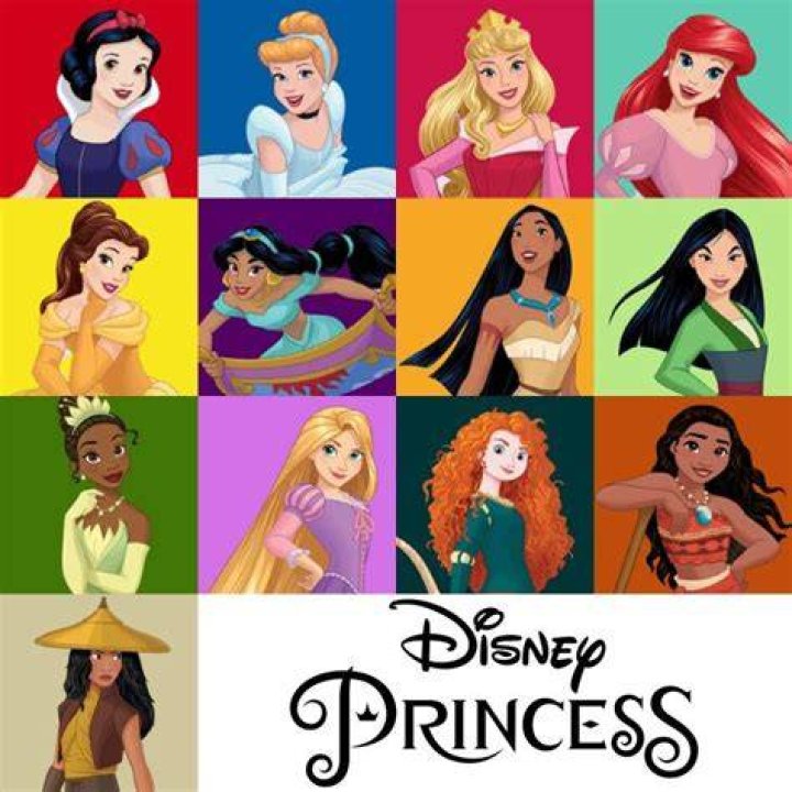 13 Princesses 2015 redesign disney princesas fotografia (38580030