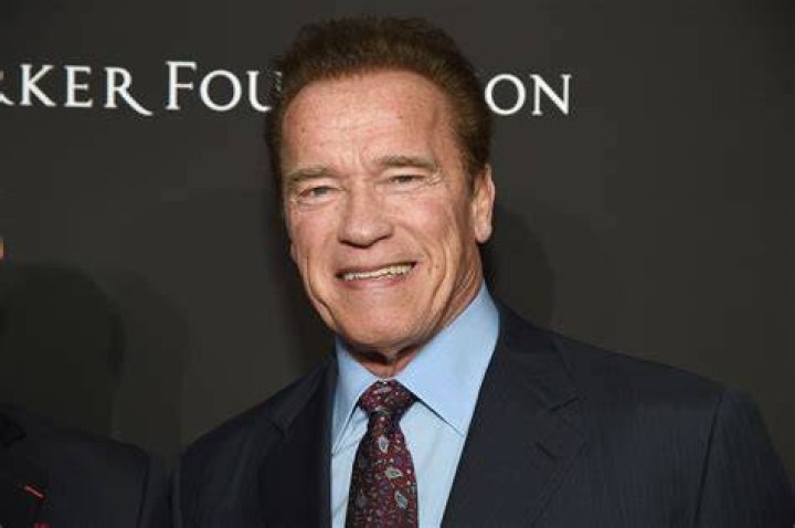 Arnold Schwarzenegger Net Worth 2018 Wiki, Married, Family, Wedding