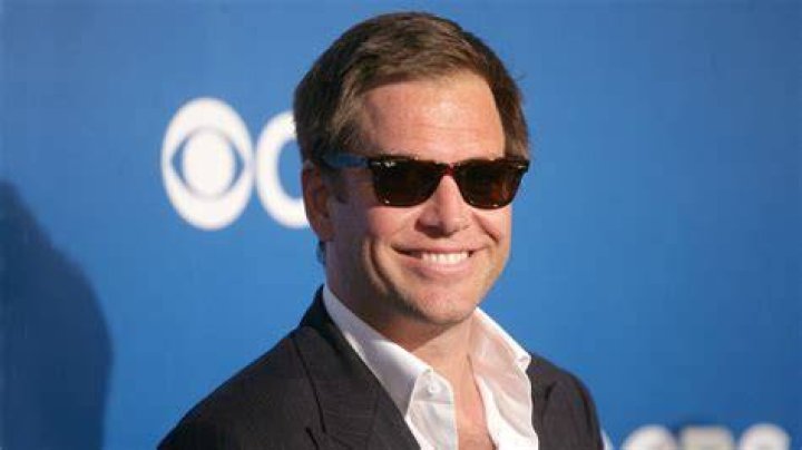 Did Michael Weatherly And Mark Harmon Get Along While On NCIS?