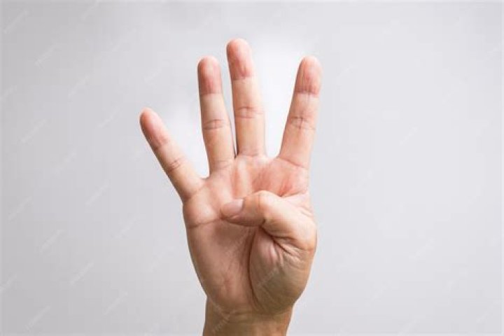 Four hands that do Free Photo Download FreeImages