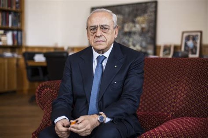 Francesco Gaetano Caltagirone al Financial Times, dopo Monti un Monti