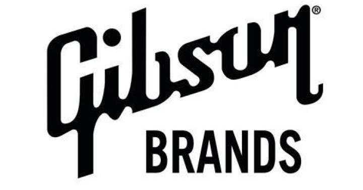 Gibson Wins Another Definitive Ruling On Its Iconic Shapes and Trademarks