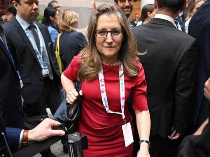 GOLDSTEIN Someone tell Freeland she’s not like the average Canadian