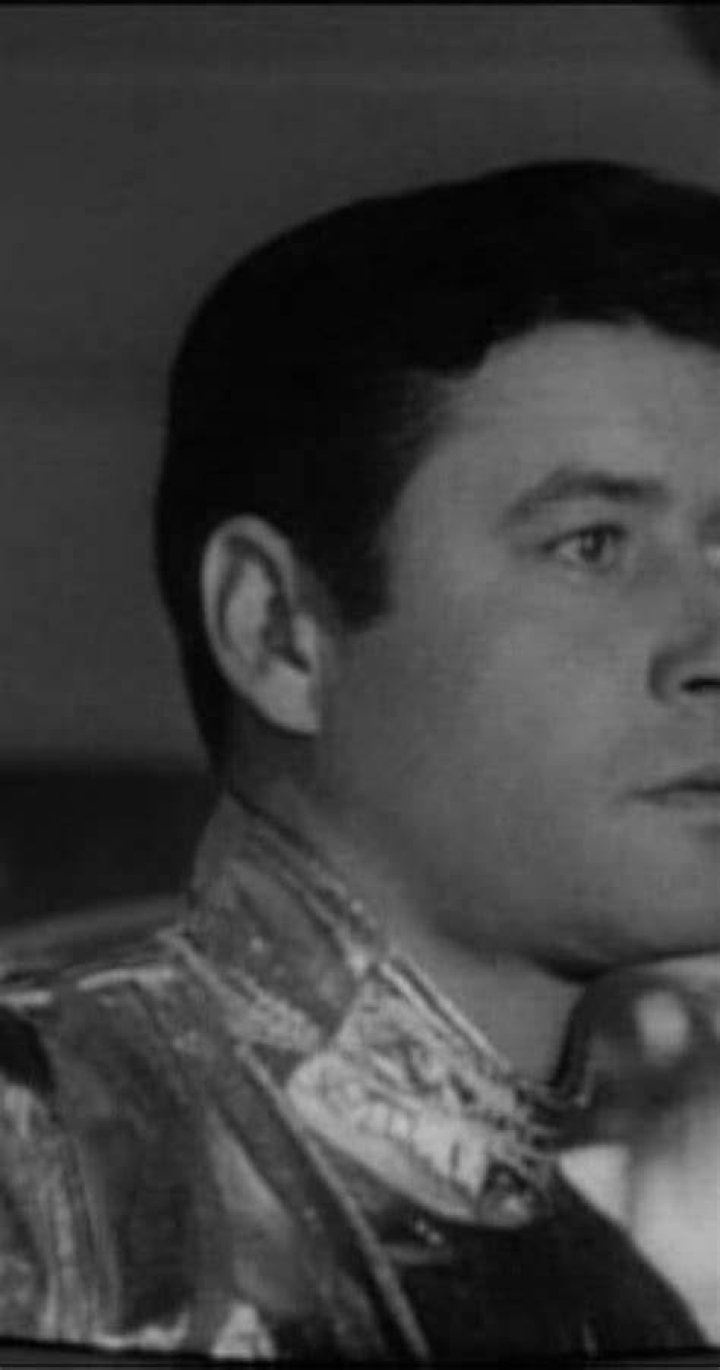 Guy Williams IMDb