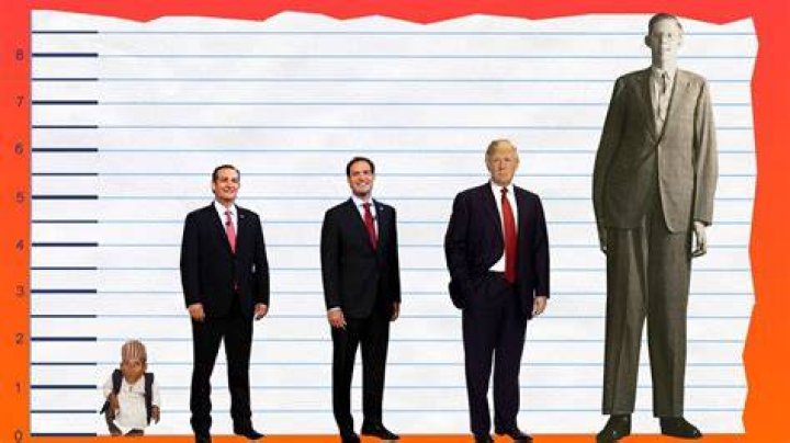 How tall is Ted Cruz? Celebrity Heights How Tall Are Celebrities