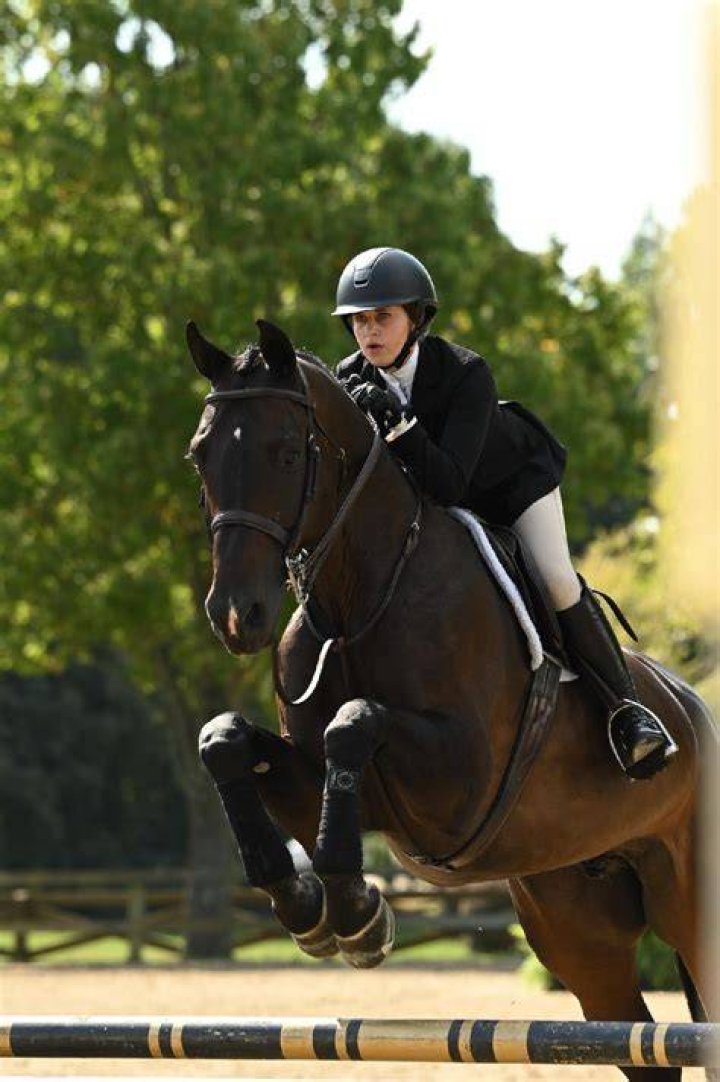 Jordan Gibbs Wins 2022 ASPCA Maclay Region 2 Championship at Old Salem