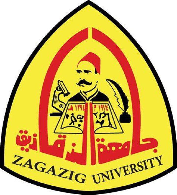 Khaled YOUSSEF Zagazig University, Zagazig Department of Structural