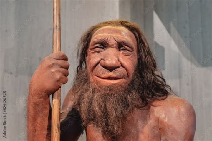 Picture of the Day Caveman Circus