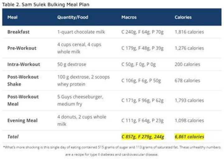 Sam Sulek Diet Plan and Workout Routine (October 2023) Tikkay Khan