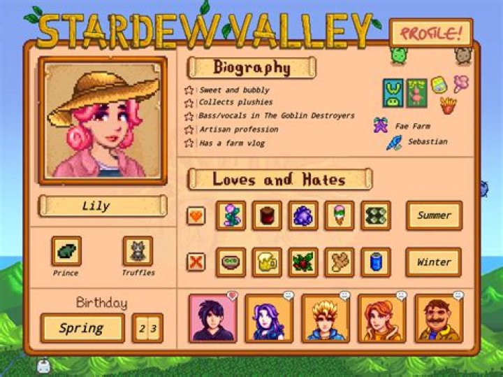 stardew valley farmer profile Ficha de personagem, Imagem de fundo