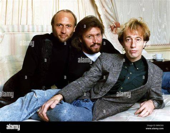 The Bee Gees Brothers' Bond and Why They 'Needed One Another'