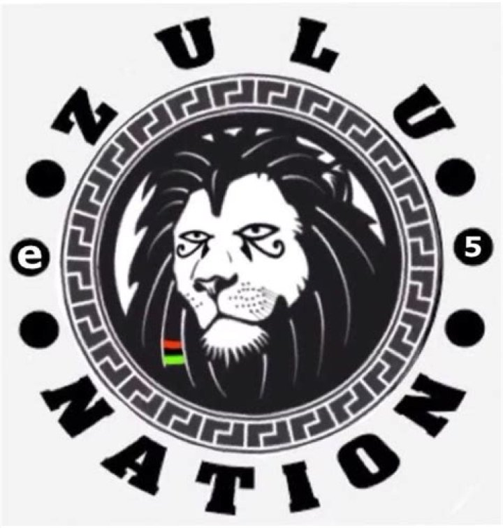Zulu nation 'planting' King Goodwill Zwelithini in South Africa Daily